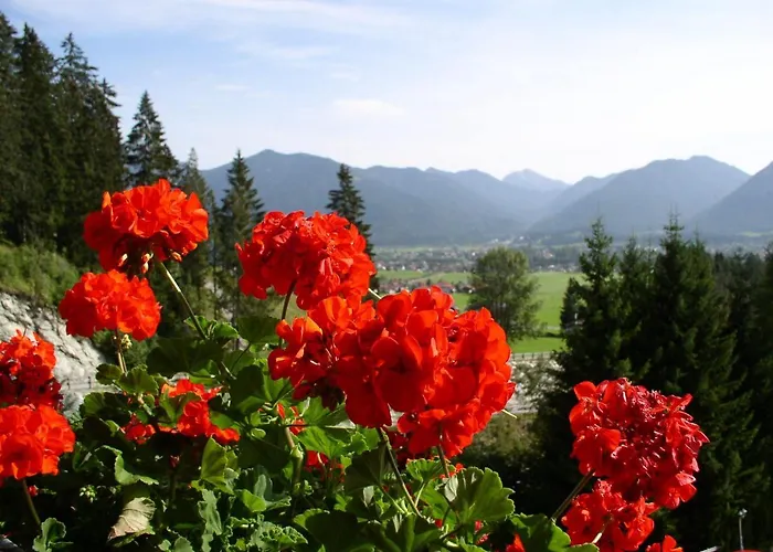 Talhof Garni&more In Waengle Bei Otel Reutte